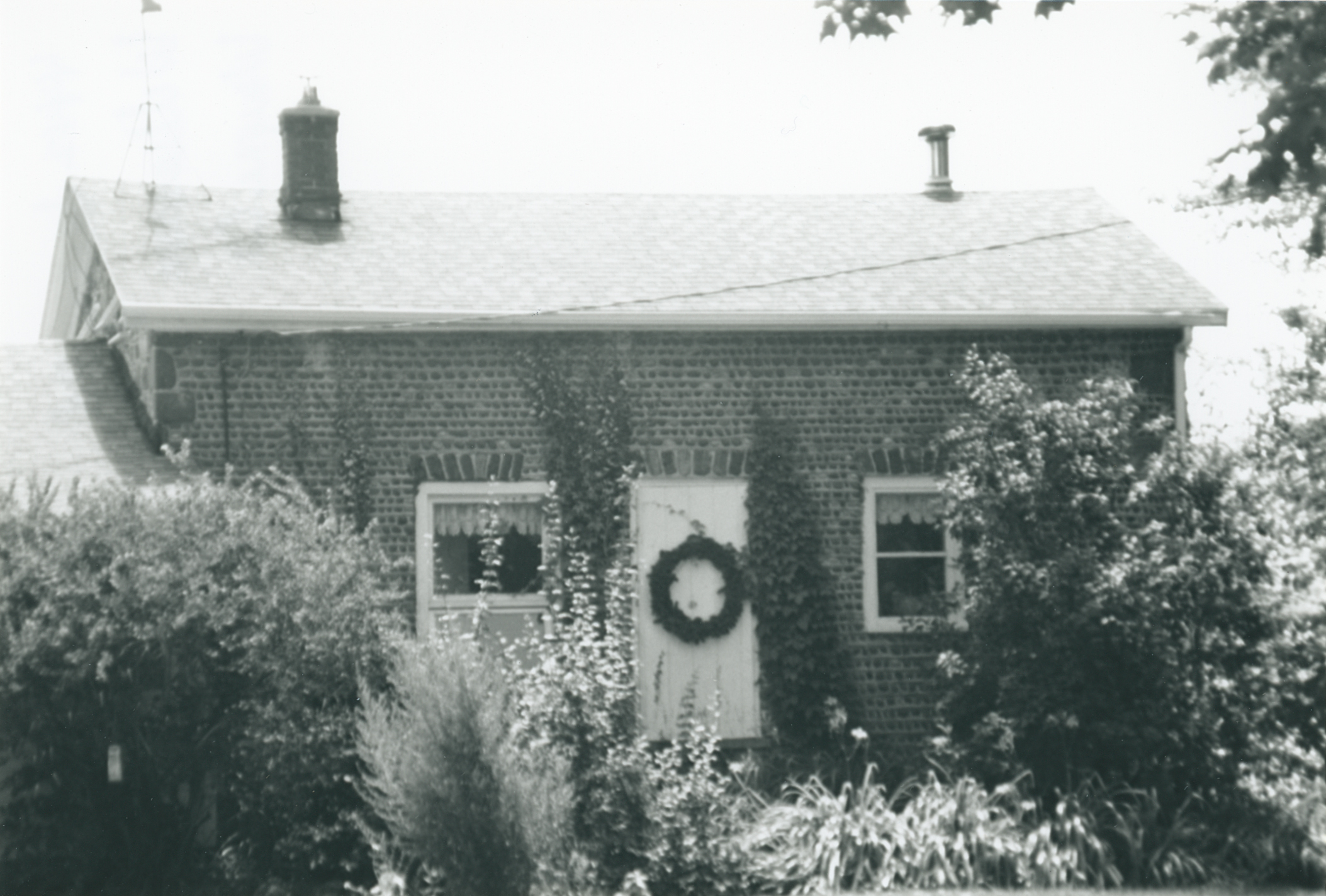 Wil-21 4442 Jersey Rd 1